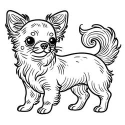 Dessin à colorier: Chihuahua (Animaux) #219786 - Coloriages à Imprimer Gratuits