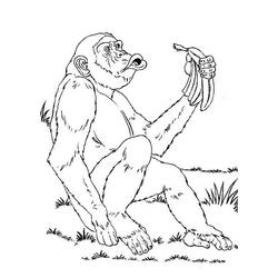 Dessin à colorier: Chimpanzé (Animaux) #2782 - Coloriages à Imprimer Gratuits