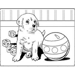Coloriage Chiot (Animaux) #199544 à imprimer et colorier