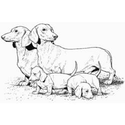 Dessin à colorier: Chiot (Animaux) #2960 - Coloriages à Imprimer Gratuits