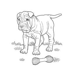 Dessin à colorier: Chiot (Animaux) #3044 - Coloriages à Imprimer Gratuits