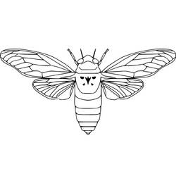 Dessin à colorier: Cigale (Animaux) #187676 - Coloriages à Imprimer Gratuits