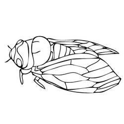 Dessin à colorier: Cigale (Animaux) #187678 - Coloriages à Imprimer Gratuits