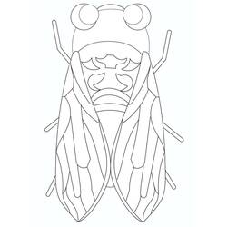 Dessin à colorier: Cigale (Animaux) #187679 - Coloriages à Imprimer Gratuits