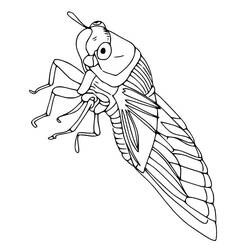 Dessin à colorier: Cigale (Animaux) #187682 - Coloriages à Imprimer Gratuits