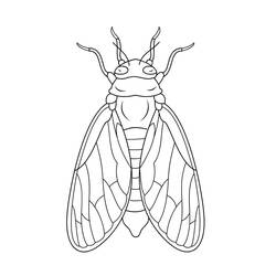Dessin à colorier: Cigale (Animaux) #187683 - Coloriages à Imprimer Gratuits