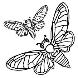 Dessin à colorier: Cigale (Animaux) #187692 - Coloriages à Imprimer Gratuits