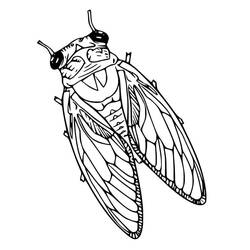 Dessin à colorier: Cigale (Animaux) #187694 - Coloriages à Imprimer Gratuits