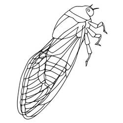 Dessin à colorier: Cigale (Animaux) #187703 - Coloriages à Imprimer Gratuits
