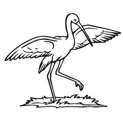 Dessin à colorier: Cigogne (Animaux) #185246 - Coloriages à Imprimer Gratuits