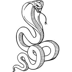 Coloriage Cobra (Animaux) #212674 à imprimer et colorier