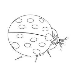 Coloriage Coccinelle (Animaux) #177683 à imprimer et colorier