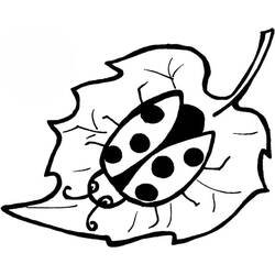 Coloriage Coccinelle (Animaux) #177691 à imprimer et colorier