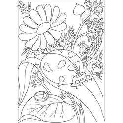 Coloriage Coccinelle (Animaux) #177699 à imprimer et colorier