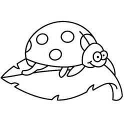 Coloriage Coccinelle (Animaux) #177701 à imprimer et colorier