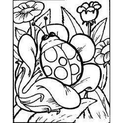 Coloriage Coccinelle (Animaux) #177702 à imprimer et colorier