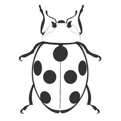 Coloriage Coccinelle (Animaux) #177705 à imprimer et colorier