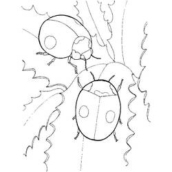 Coloriage Coccinelle (Animaux) #177707 à imprimer et colorier