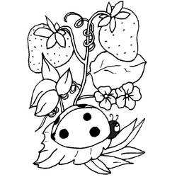 Coloriage Coccinelle (Animaux) #177713 à imprimer et colorier
