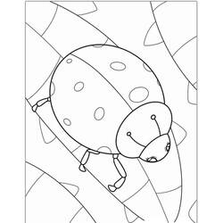 Coloriage Coccinelle (Animaux) #217603 à imprimer et colorier