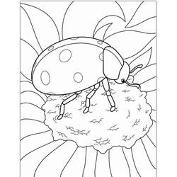 Coloriage Coccinelle (Animaux) #217613 à imprimer et colorier