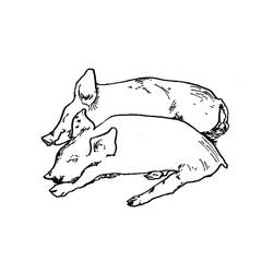 Coloriage Cochon (Animaux) #191164 à imprimer et colorier