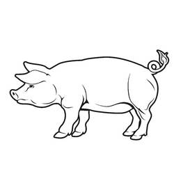 Coloriage Cochon (Animaux) #191189 à imprimer et colorier