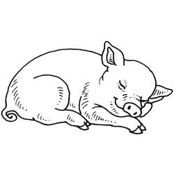 Dessin à colorier: Cochon (Animaux) #3590 - Coloriages à Imprimer