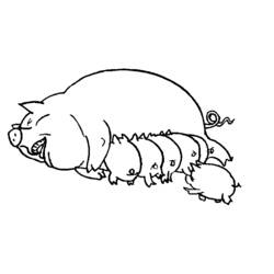 Dessin à colorier: Cochon (Animaux) #3599 - Coloriages à Imprimer