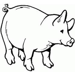 Dessin à colorier: Cochon (Animaux) #3610 - Coloriages à imprimer