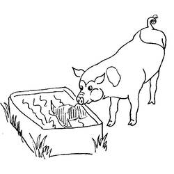 Dessin à colorier: Cochon (Animaux) #3630 - Coloriages à Imprimer Gratuits
