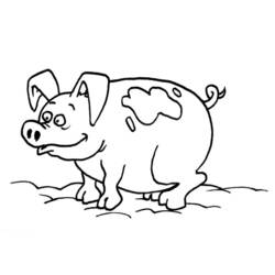 Dessin à colorier: Cochon (Animaux) #3682 - Coloriages à imprimer