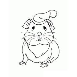 Coloriage Cochon dinde (Animaux) #211120 à imprimer et colorier