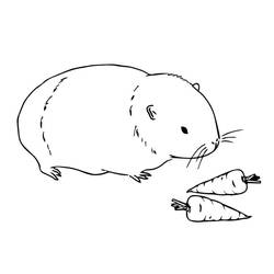 Coloriage Cochon dinde (Animaux) #211122 à imprimer et colorier