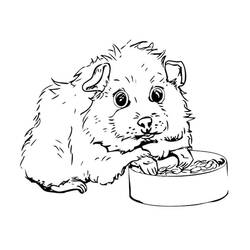 Coloriage Cochon dinde (Animaux) #211126 à imprimer et colorier