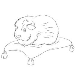 Coloriage Cochon dinde (Animaux) #211134 à imprimer et colorier