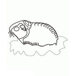 Coloriage Cochon dinde (Animaux) #211136 à imprimer et colorier