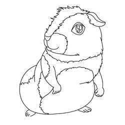 Coloriage Cochon dinde (Animaux) #211138 à imprimer et colorier