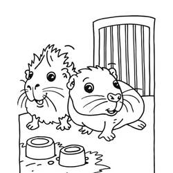 Coloriage Cochon dinde (Animaux) #211140 à imprimer et colorier