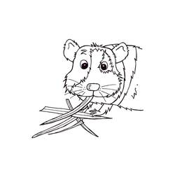 Coloriage Cochon dinde (Animaux) #211143 à imprimer et colorier