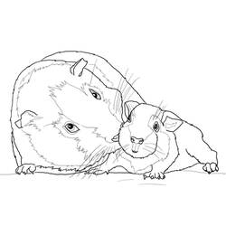 Coloriage Cochon dinde (Animaux) #211148 à imprimer et colorier