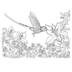 Dessin à colorier: Colibri (Animaux) #208575 - Coloriages à Imprimer Gratuits