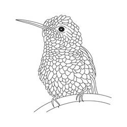 Coloriage Colibri (Animaux) #208576 à imprimer et colorier
