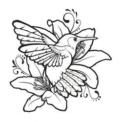 Dessin à colorier: Colibri (Animaux) #208578 - Coloriages à Imprimer Gratuits