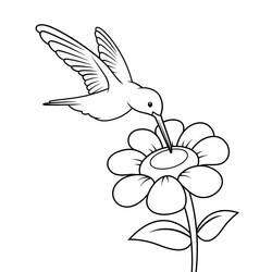 Dessin à colorier: Colibri (Animaux) #208582 - Coloriages à Imprimer Gratuits