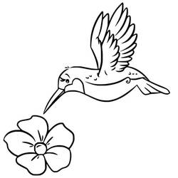 Coloriage Colibri (Animaux) #208587 à imprimer et colorier