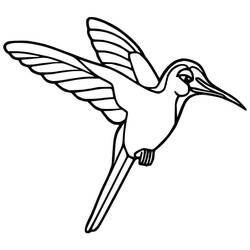 Coloriage Colibri (Animaux) #208588 à imprimer et colorier