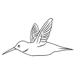 Coloriage Colibri (Animaux) #208593 à imprimer et colorier