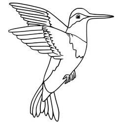 Coloriage Colibri (Animaux) #208594 à imprimer et colorier