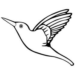 Coloriage Colibri (Animaux) #208598 à imprimer et colorier